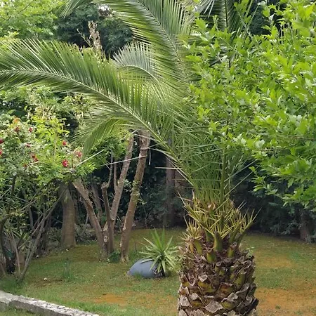 Stella Villa